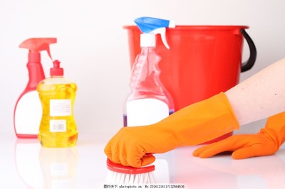 清潔用品的視覺圖鑒 從日常維護到深層潔凈